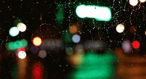 Rainy City Nights City Rain Rainy City Night City