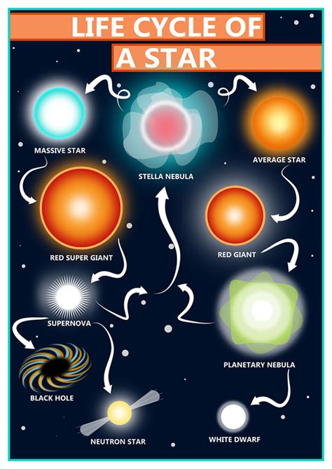 Gcse Science Life Cycle Of A Star Educational A2 Poster Tiger Moon