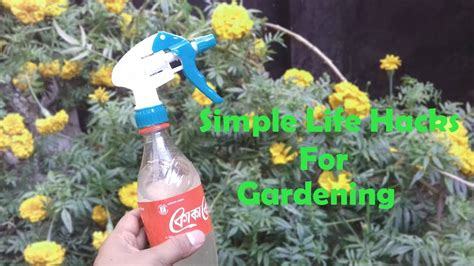 Life Hacks 2019 - Simple gardening tips with plastic ...