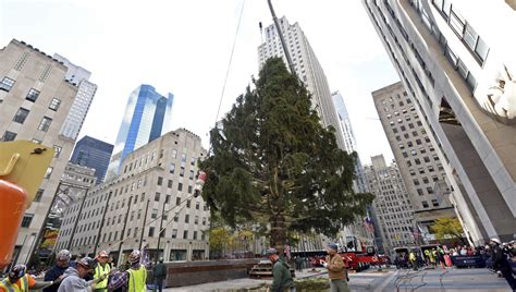 Spectators can check out the festive tree near washington street and michigan avenue through sunday, january 7, 2021. Rockefeller Center Christmas Tree Lighting 2018