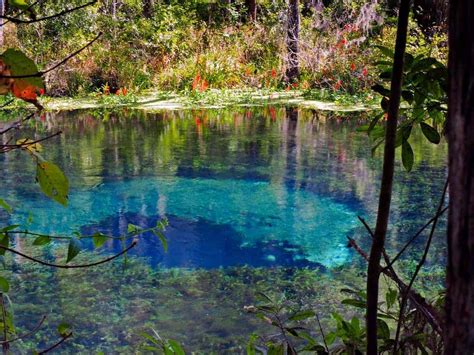 5 Best Natural Springs In Florida To Visit This Summer