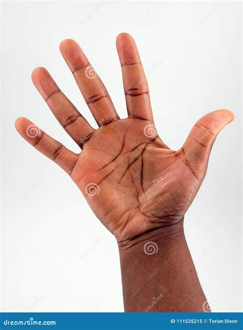 Palm Side Hand Stock Image Image Of African Fingers 111535215