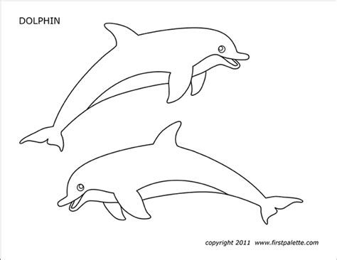 Dolphin Coloring Pages Printable Home Interior Design