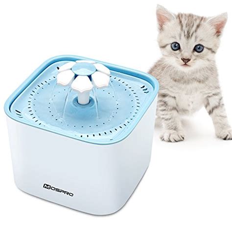 Together with petsmart charities, we help save over 1,500 pets every day through adoption. Pet Fountain Cat Water Dispenser - Healthy and Hygienic ...