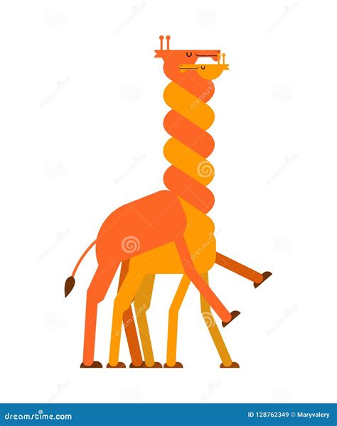 Giraffe Sex Love Giraffes Intercourse Animal Reproduction Stock