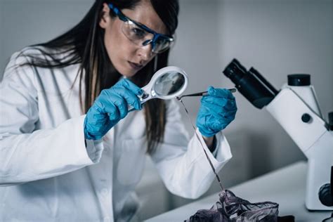 Career Guide How To Become A Forensic Expert