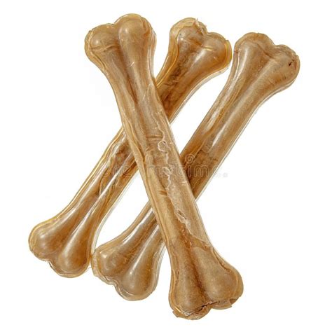 Three Dog Bones Isolated On White Stock Image Image Of Bones Shape