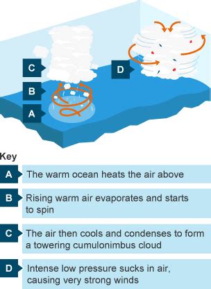 Tropical depressions, tropical storms, hurricanes, and typhoons are all examples of tropical cyclones; BBC Bitesize - KS3 Geography - Tropical storms - Revision 2