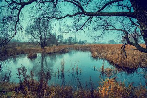 Trees Without Leaves Along Calm River Autumn Landscape Stock Photo