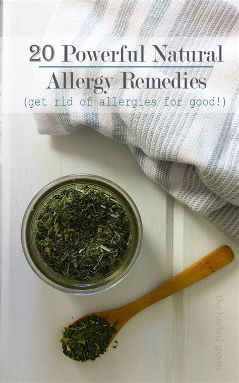 20 powerful natural remedies for seasonal allergies the herbal spoon home remedies for