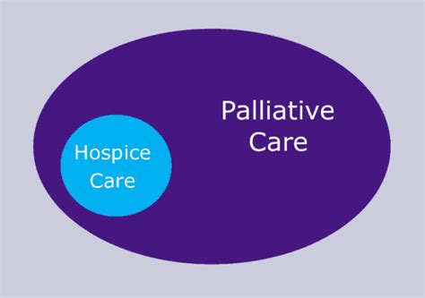 Hospice Vs Palliative Care In Home Healthcare Services In Dallas