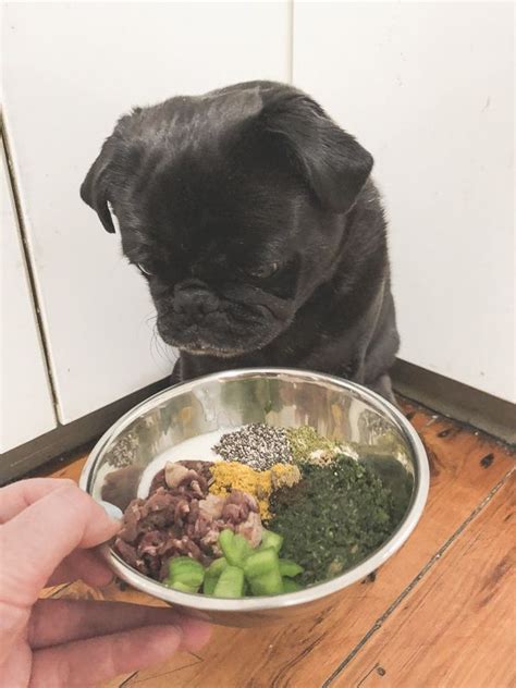 Raw Feeding For Pugs How To Balance The Pug Diary Dog Raw Diet