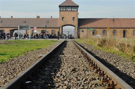 Trova le migliori immagini gratuite di campo di concentramento di auschwitz. Palestre come campi di concentramento | Autori Fanpage