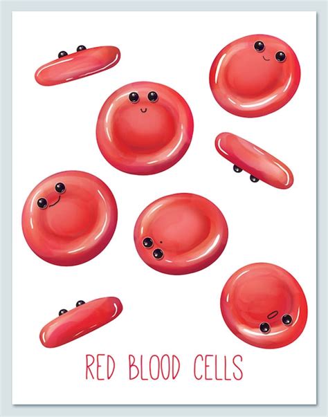 Red Blood Cells Wall Art Print Biology Cute Fun