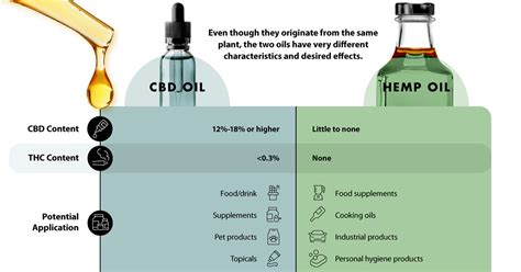 Visualizing The Difference Between Cbd Oil And Hemp Oil