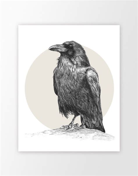 You can edit any of drawings via our online image editor before downloading. Raven Wall Art Print - Custom Color Raven Bird Pencil ...
