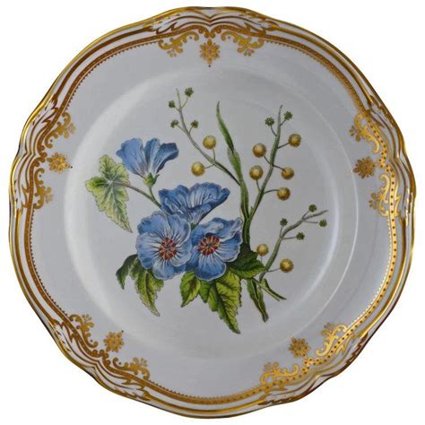 There are about 108 pieces all. Spode Botanical Plate Lida Acacia - 20th Century, England ...