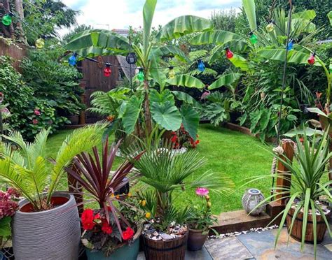 The Top 71 Container Garden Ideas Landscaping And Design