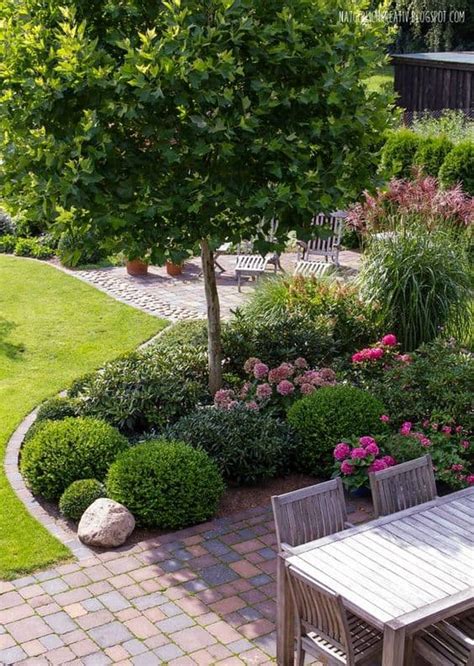 33 Best Trees For Small Gardens That Wont Limit Your