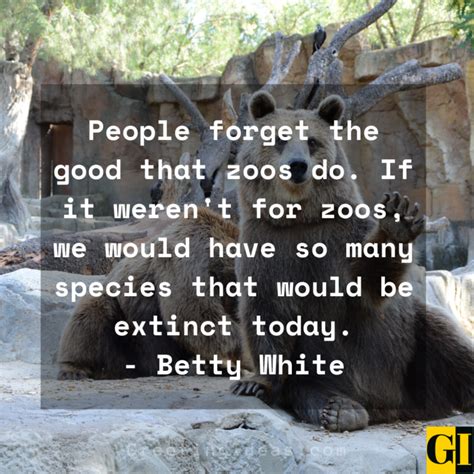 10 Famous Zoo Quotes On Humans Animals And Natural Habitats