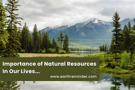 Importance Of Natural Resources In Our Lives Earth Reminder