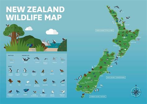 Vessel nova zeelandia is a reefer, registered in russia. Nova Zelandia Mapa - Mapas de Auckland - Nova Zelândia ...