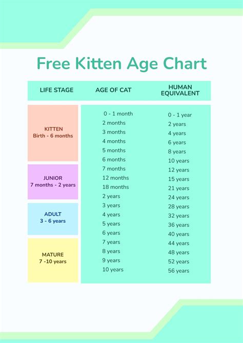 Kitten Age Chart In Psd Download