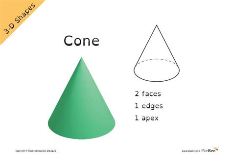 Properties Of 3d Shapes Facts By Planbee