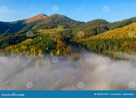Colorful Autumn Morning In The Carpathian Mountains Sokilsky Ridge
