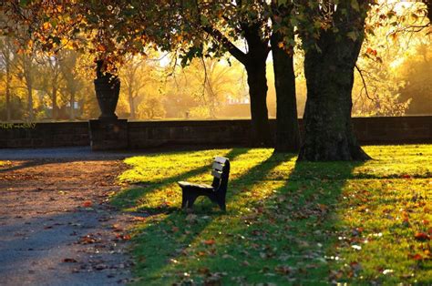 Park Bench Wallpaper Nature And Landscape Wallpaper Better