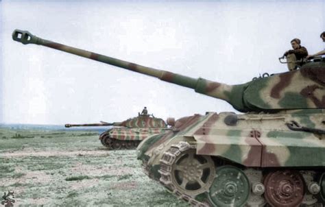 Two Panzer VI Tiger II King Tiger With Porsche Turret On Level