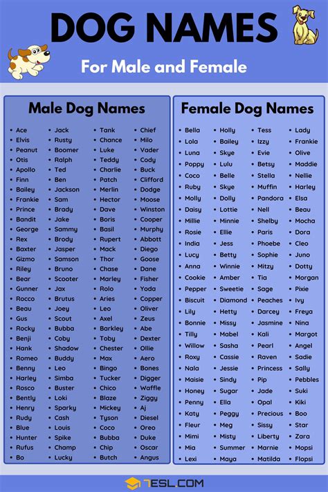 Dog Names 100 Most Popular Male And Female Dog Names 7esl Cute