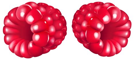 Raspberry Fruit Png Clipart Gallery Yopriceville High Quality
