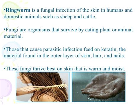 Fungus That Causes Ringworm Ringworm Causes And Risk Factors