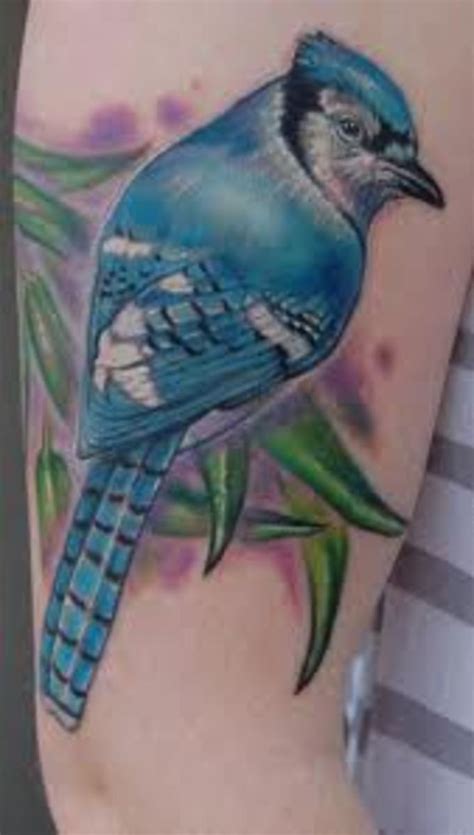 Blue Jay Tattoo Meanings And Designs Tatring