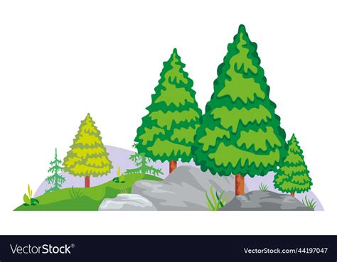 Forest Landscape With Evergreen Trees And Rocks Vector Image