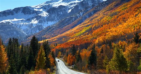 10 Places To Find Stunning Fall Foliage In Colorado