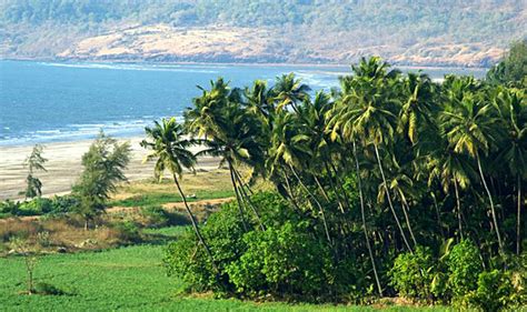11 Secret Beaches Of Goa No One Told You About Welcomenri