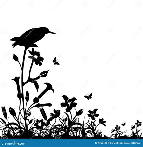 Black And White Nature Vector Stock Vector Illustration Of