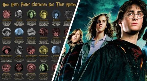 The True Meaning Of Each Harry Potter Character Name Explained Inside The Magic