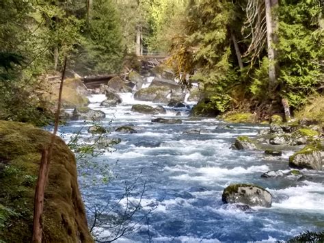 North Fork Skokomish River — Washington Trails Association