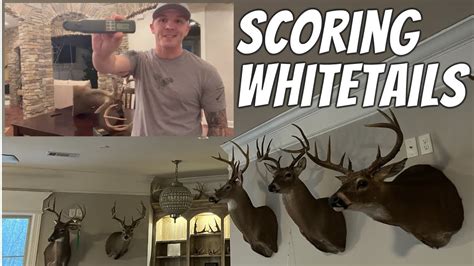 How To Score Whitetail Deer Rackulator Whitetail Bucks Scoring