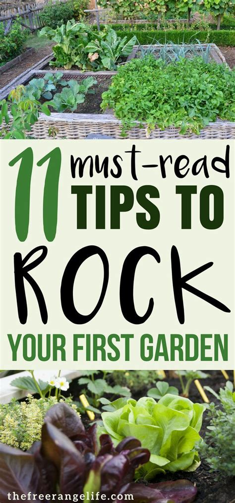 Gardening For Beginners 11 Tips For A Successful Start Vegetable