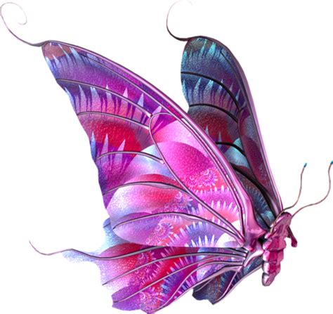 Flying Butterfly Png Image