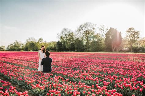 Proposal And Pre Wedding Photographer Amsterdam Flower Fields Proposal Photographer Proposal