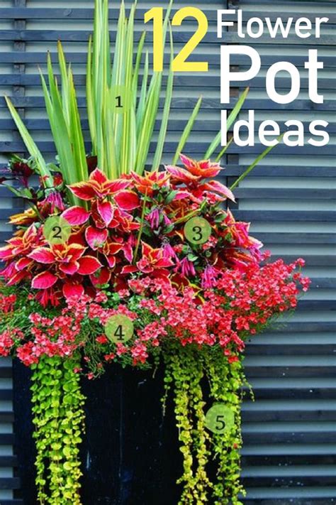 Explore Stunning Color Combinations And Practical Planting Advice With These 12 Flower Pot Ideas