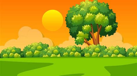 Free Vector Blank Meadow Landscape Scene At Sunset Time