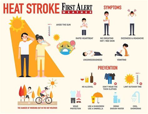 Knowing The Difference Between Heat Exhaustion And Heat Stroke As We