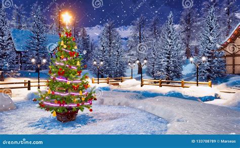 Outdoor Christmas Tree At Snowfall Winter Night Stock Image Image Of