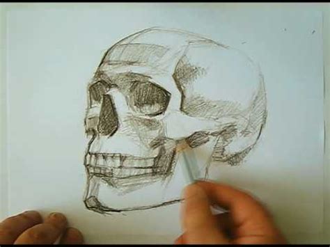 Draw two circles and draw a grid, as how to draw a fire skull. speed drawing human skull - how to draw skulls - YouTube
